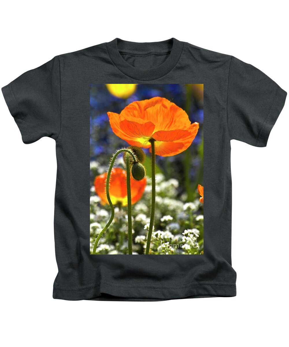 Poppy Kids T-Shirt featuring the photograph Lucid poppy by Heiko Koehrer-Wagner