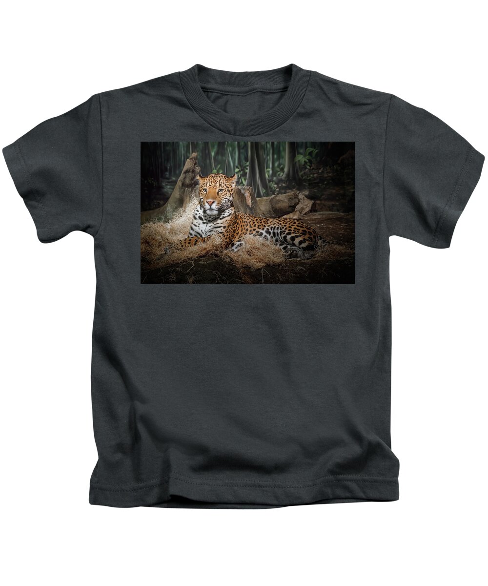 #faatoppicks Kids T-Shirt featuring the photograph Majestic Leopard by Scott Norris