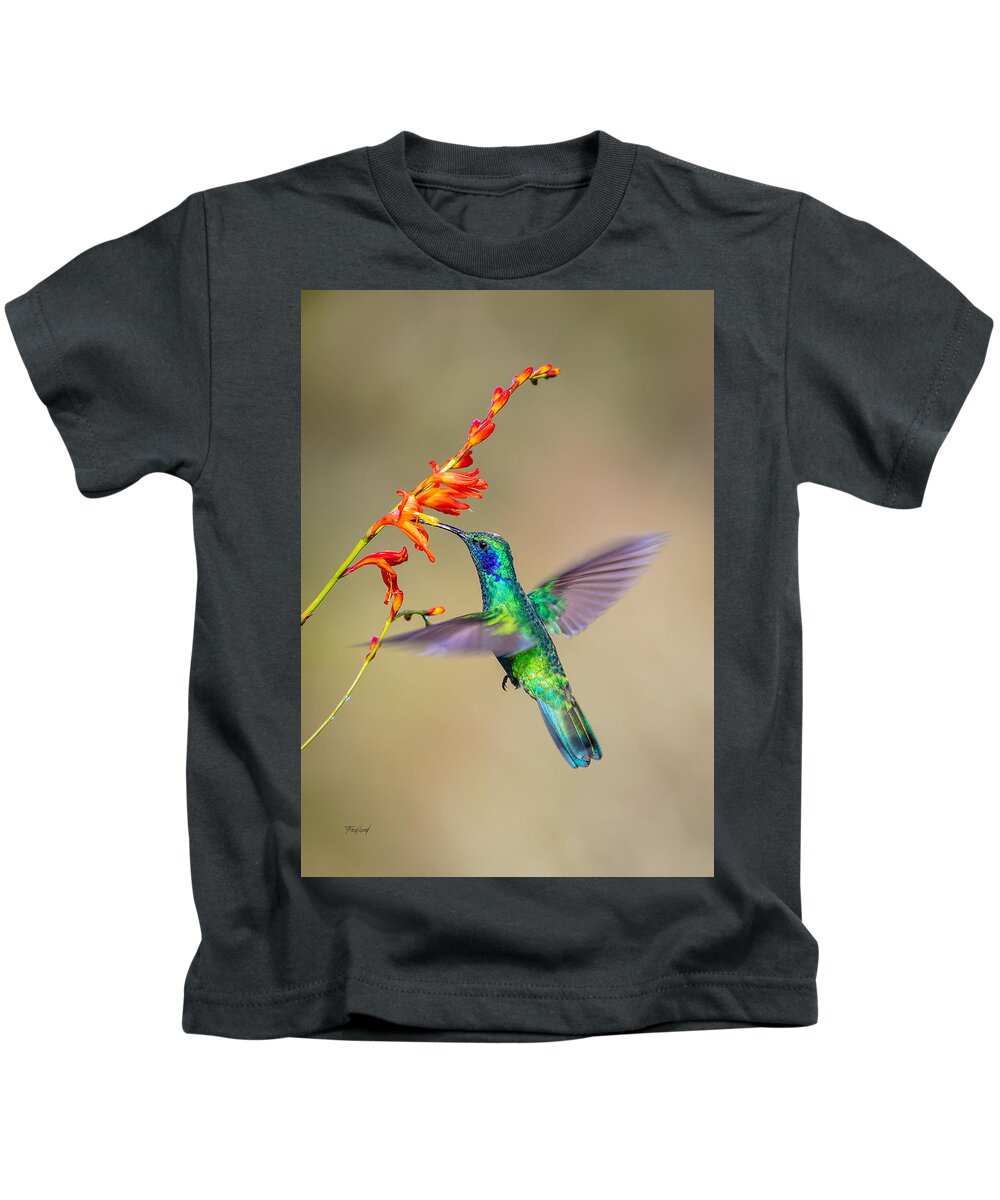 Costa Rica Kids T-Shirt featuring the photograph Male Green Violetear Hummingbird by Fred J Lord
