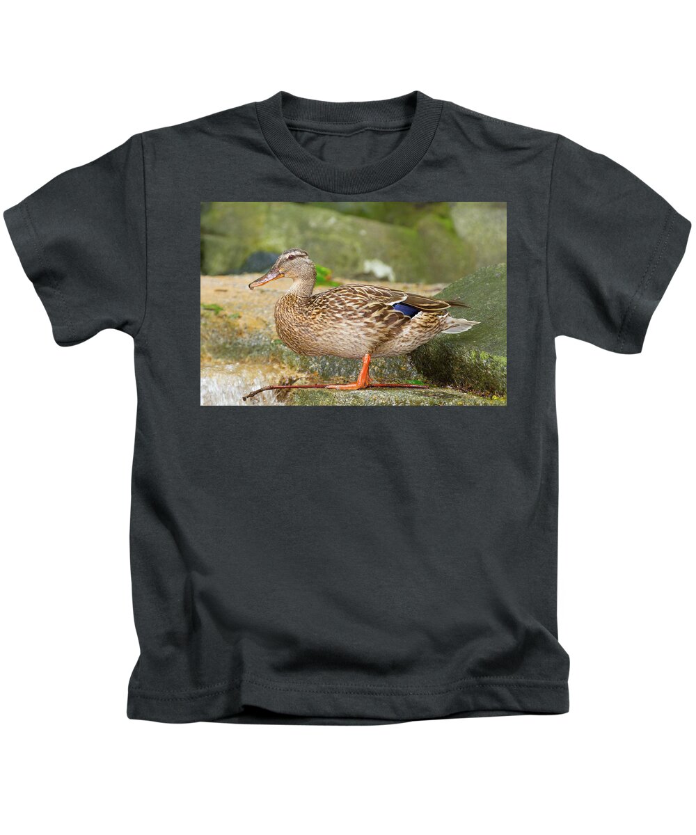 Anas Platyrhynchos Kids T-Shirt featuring the photograph Mallard Duck by SR Green