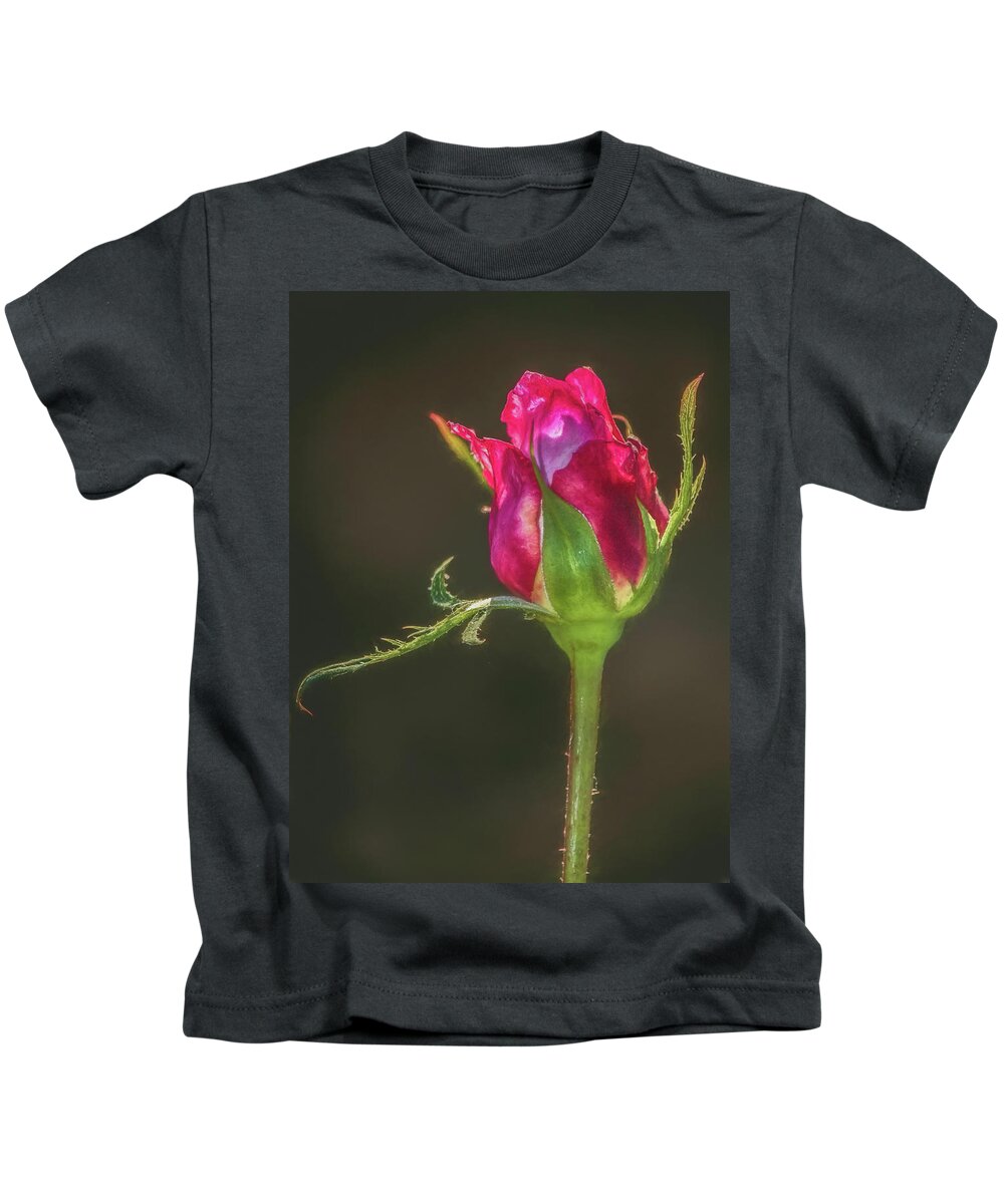 Beautiful Kids T-Shirt featuring the photograph May I Have This Dance by Teresa Wilson