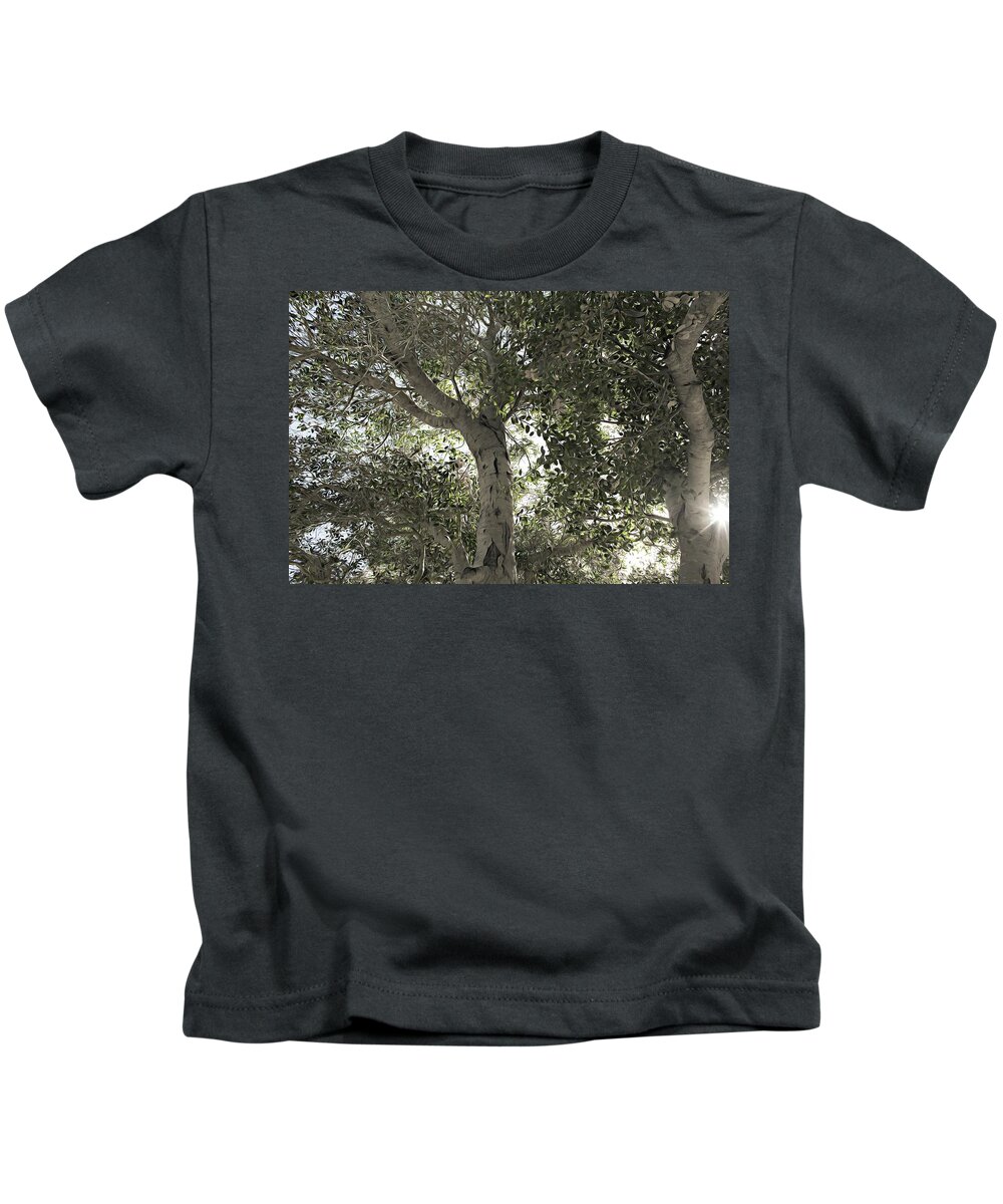 Trees Kids T-Shirt featuring the photograph May We Help You by Alison Frank