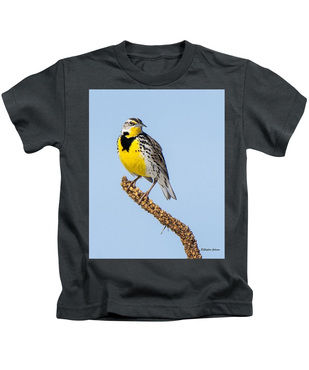 Western Meadowlark Kids T-Shirt featuring the photograph Meadowlark on Mullein Stalk by Stephen Johnson