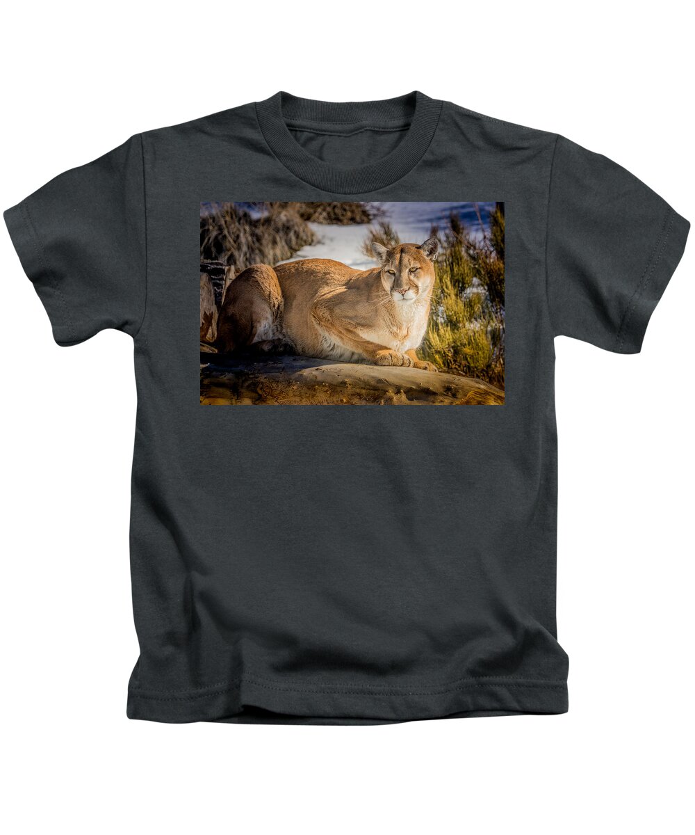 mountain Lion Kids T-Shirt featuring the photograph Milo at the Ark by Janis Knight