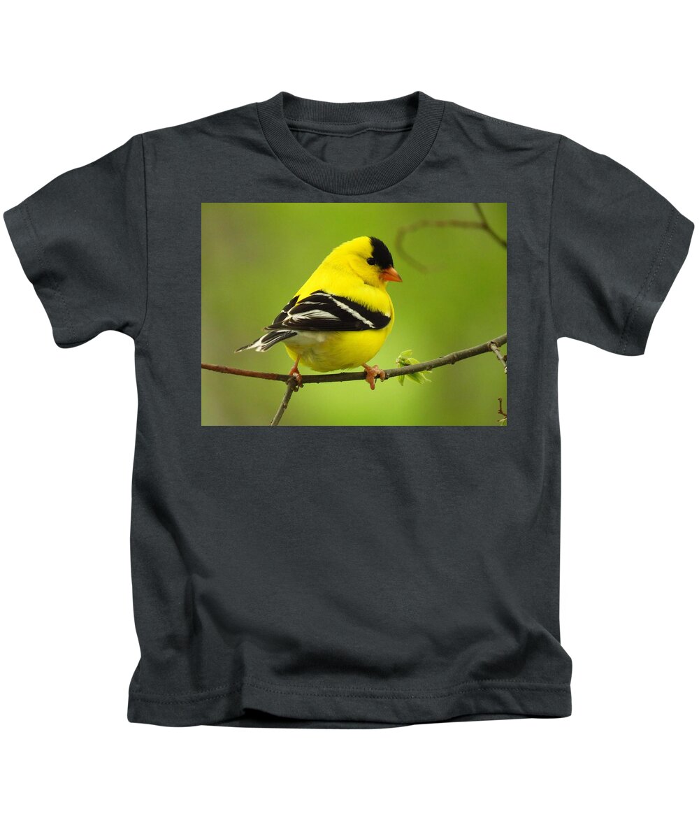 Goldfinch Kids T-Shirt featuring the photograph Mister Goldfinch by Lori Frisch