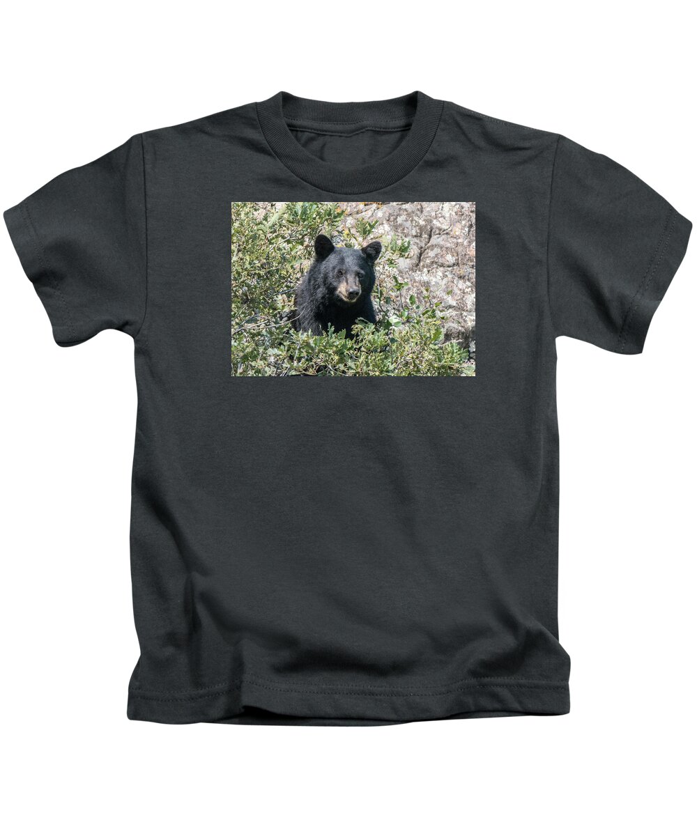 Black Bear Kids T-Shirt featuring the photograph Momma Black Bear Eating Berries by Stephen Johnson