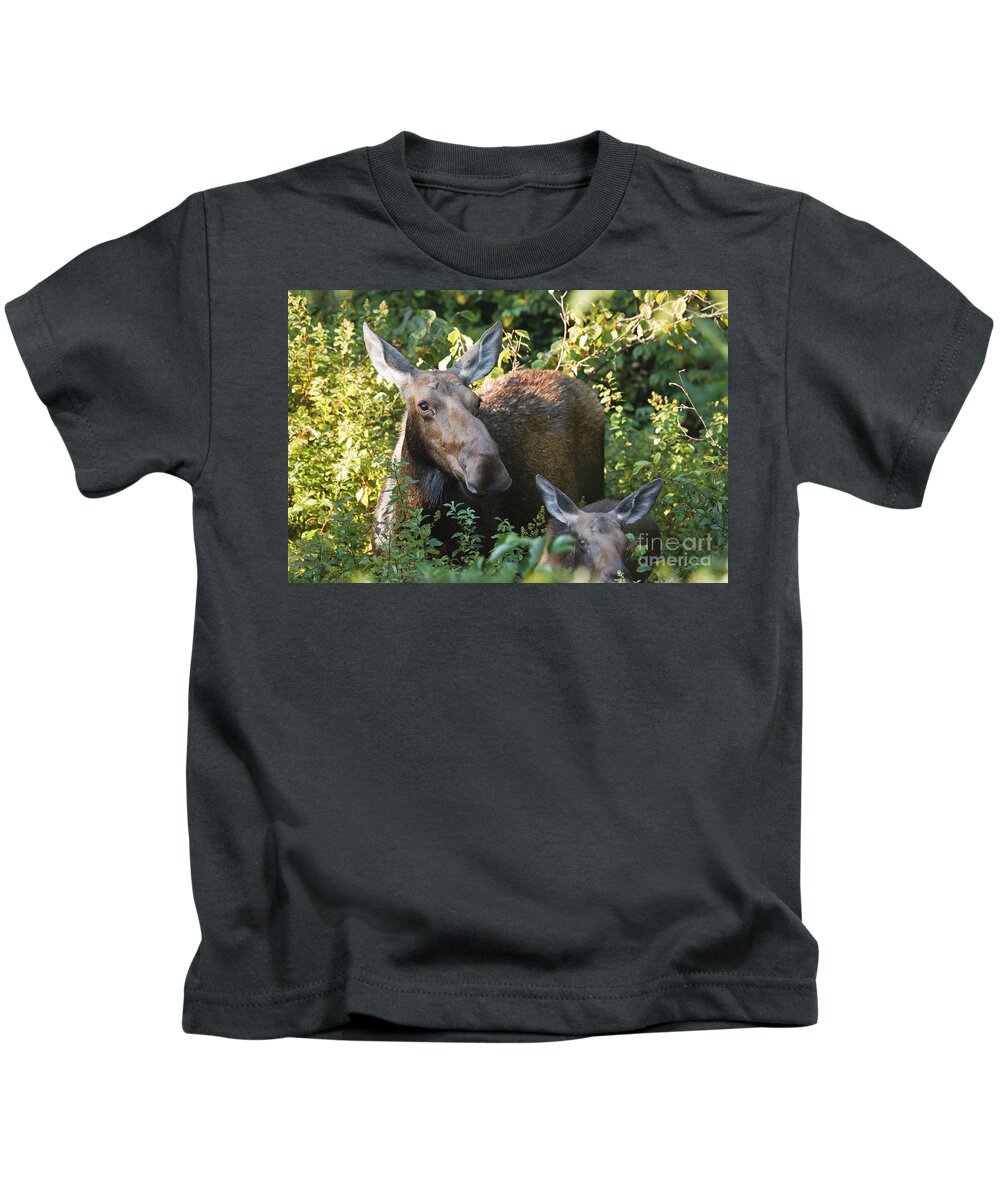 White Mountain National Forest Kids T-Shirt featuring the photograph Moose - White Mountains New Hampshire by Erin Paul Donovan