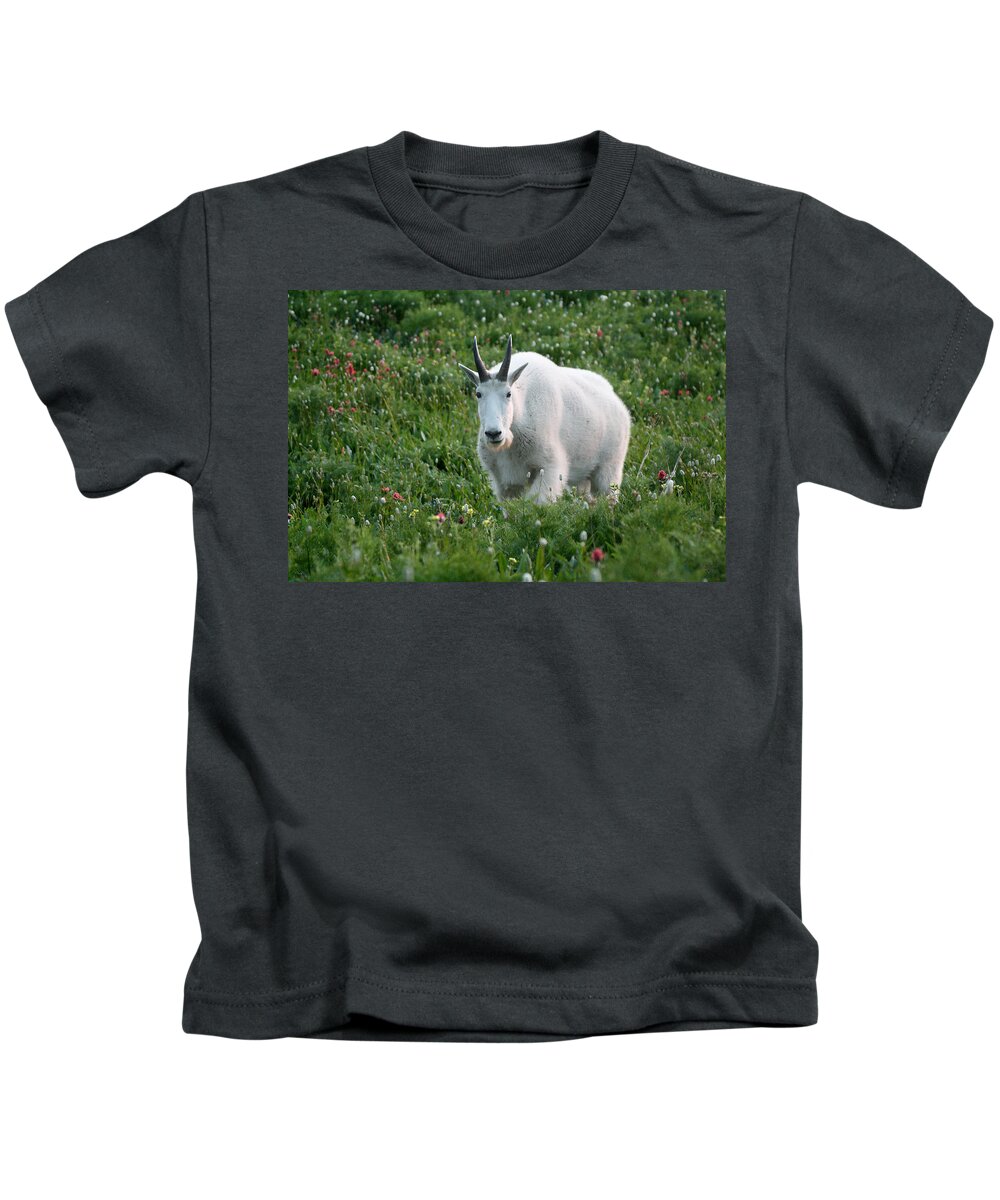 Mountain Goat Kids T-Shirt featuring the photograph Mountain Goat and Wildflowers by Brett Pelletier