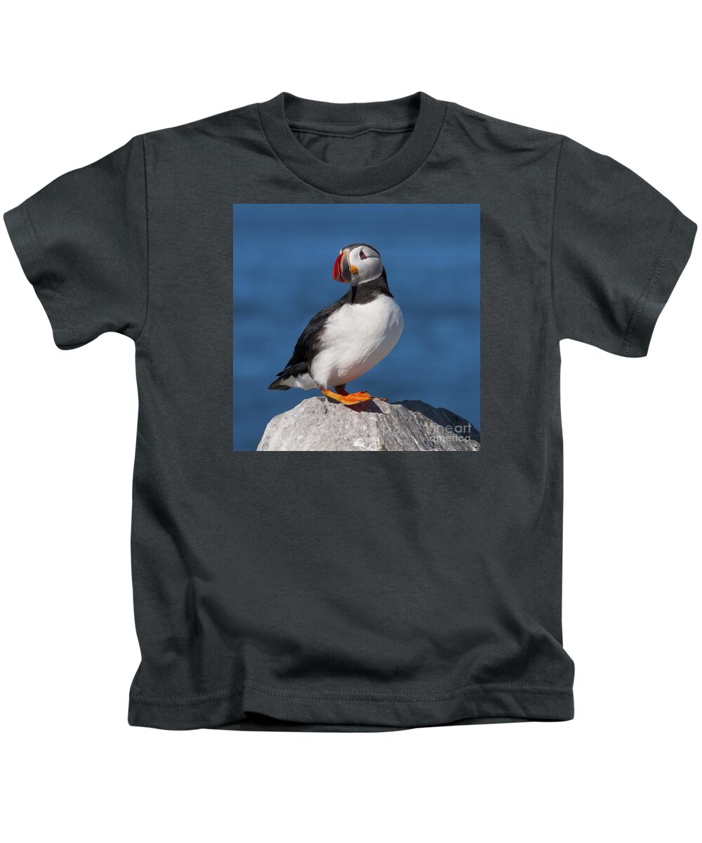 Machias Seal Island Kids T-Shirt featuring the photograph My best side.. by Nina Stavlund