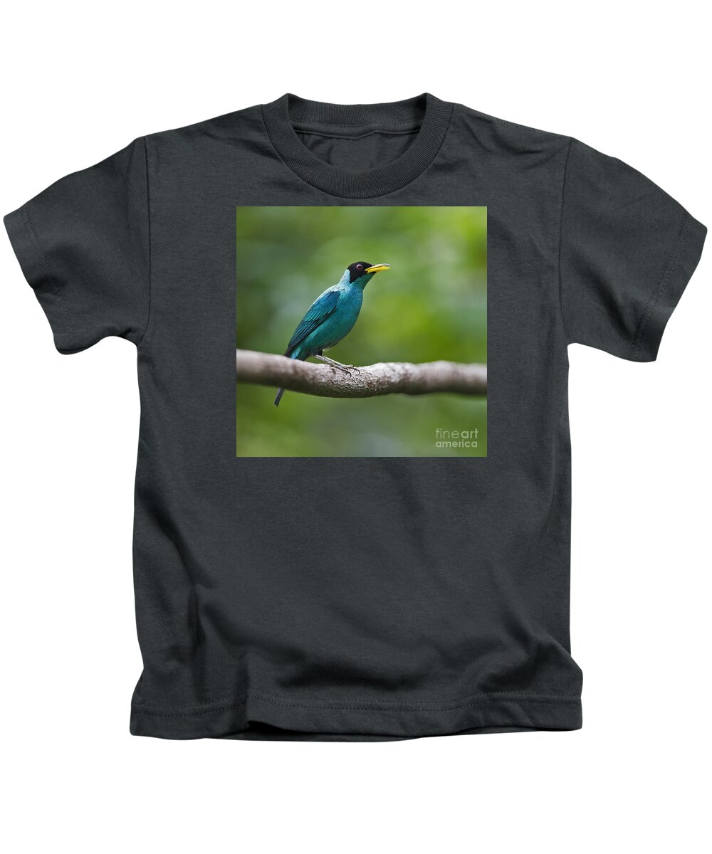 Green Honeycreeper Kids T-Shirt featuring the photograph My Song to You.. by Nina Stavlund