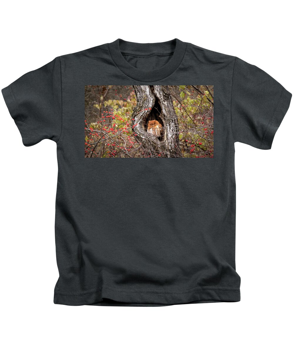 Owl Kids T-Shirt featuring the photograph Nap Time by Holly Ross