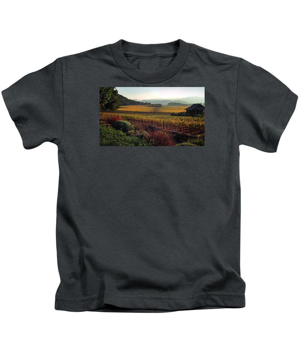 Landscape Kids T-Shirt featuring the photograph Napa Valley California by Xueling Zou