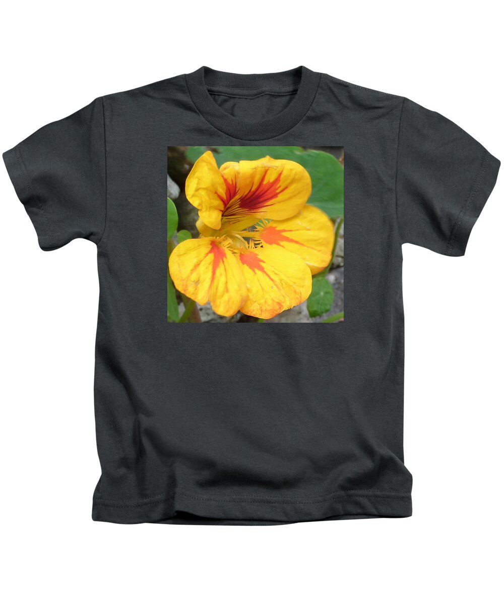Flower Kids T-Shirt featuring the photograph Nasturtium Flower by Lukasz Ryszka
