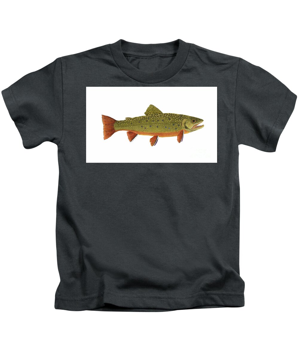Trout Salmon Fly Fish Fishing Brook Rainbow Cutthroat Thom Glace Bass Crappie Muskie Kids T-Shirt featuring the painting Native Brook Trout by Thom Glace