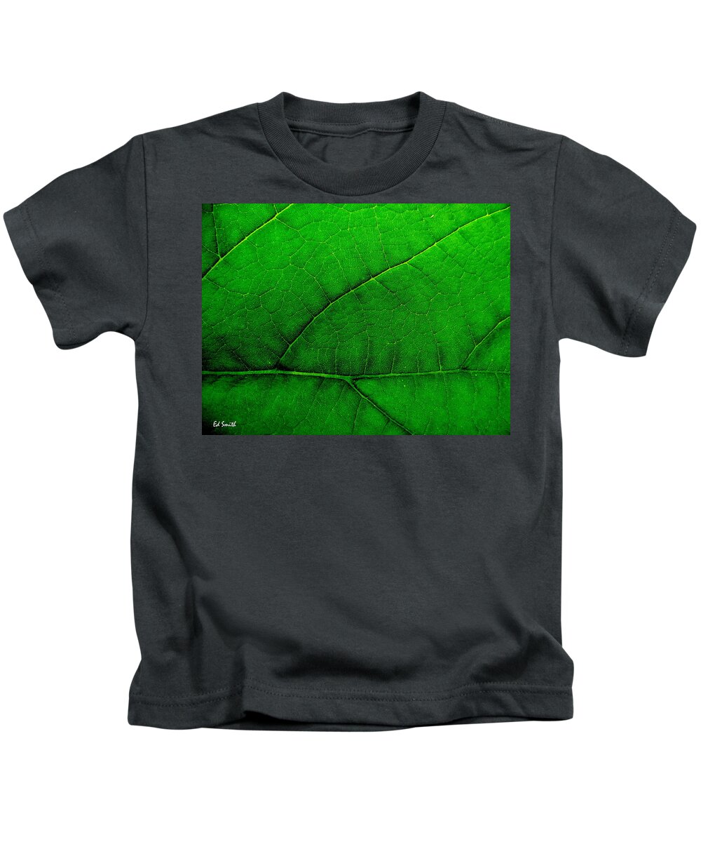 Natures Road Map Kids T-Shirt featuring the photograph Natures Road Map by Edward Smith