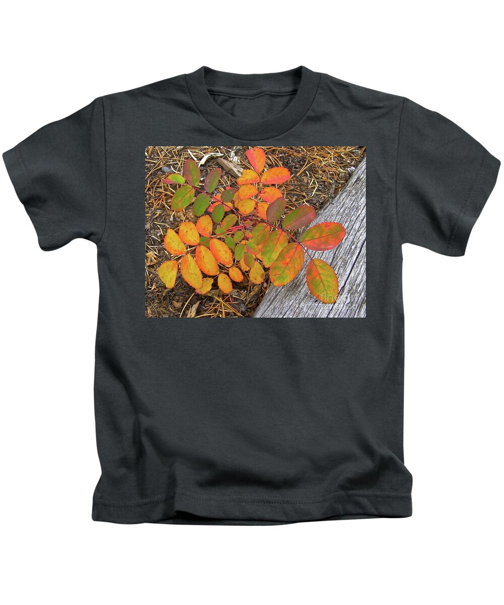 Colorado Mountains Kids T-Shirt featuring the painting New And Old Life Cycles by Alan Johnson