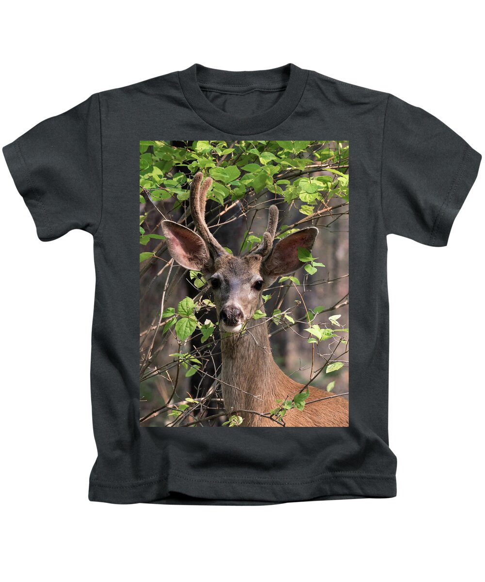 Mule Deer Kids T-Shirt featuring the photograph Mule Deer Buck by Kathleen Bishop