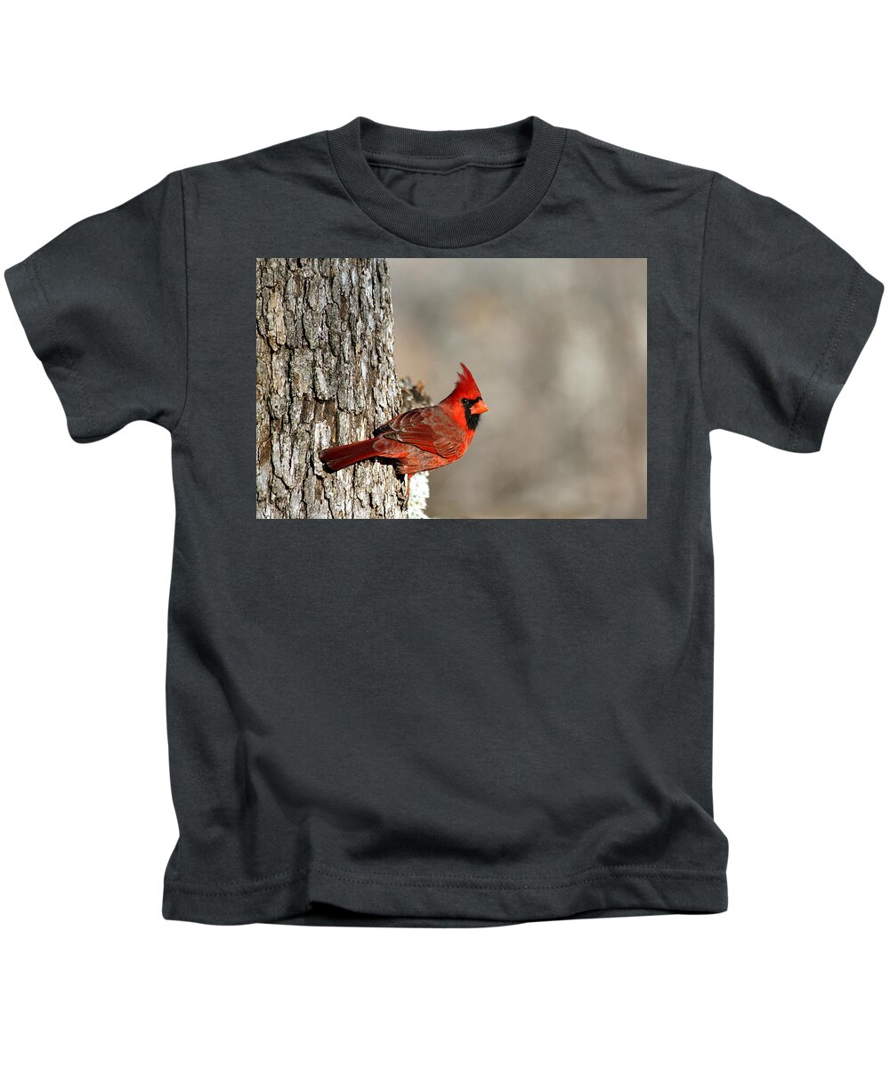 Nature Kids T-Shirt featuring the photograph Northern Cardinal on Tree by Sheila Brown