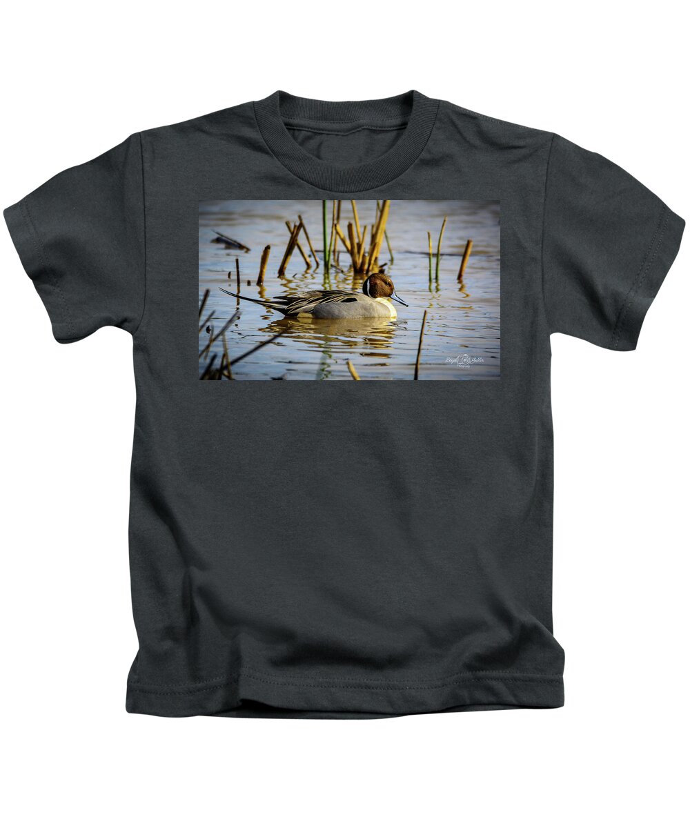 Pintale Kids T-Shirt featuring the photograph Northern Pintale Duck by Steph Gabler