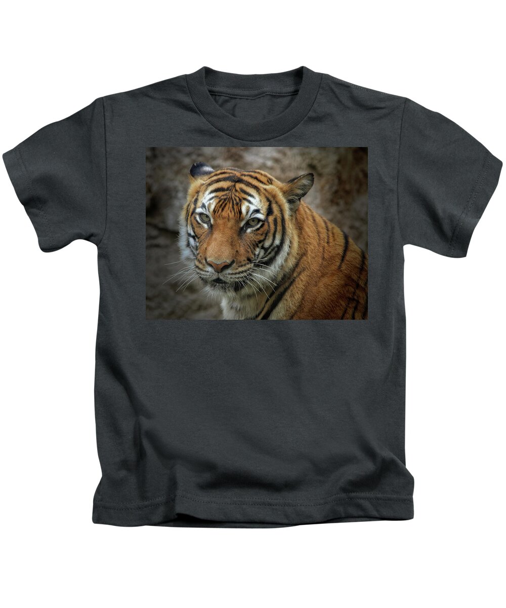 Cats Kids T-Shirt featuring the photograph Not A Happy Sita by Elaine Malott