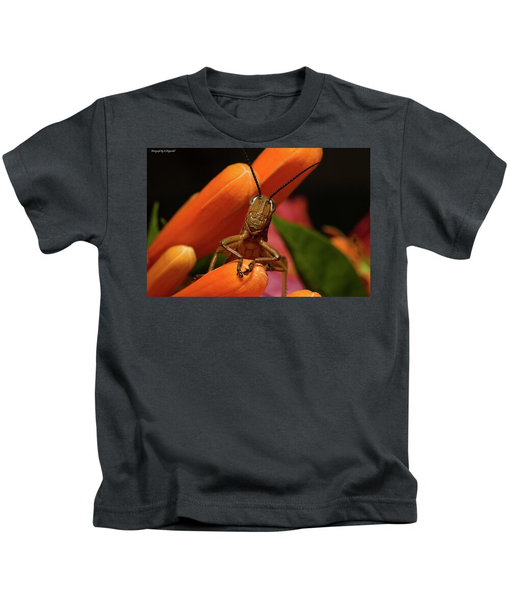 Grasshoppers Kids T-Shirt featuring the photograph Now Lets Pray 666. by Kevin Chippindall