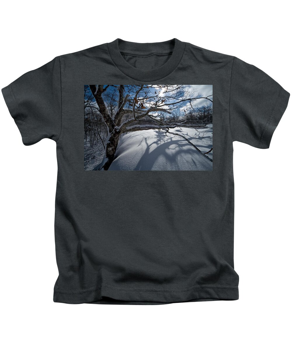 Blue Mountain-birch Cove Lakes Wilderness Kids T-Shirt featuring the photograph Oak Tree And Woods Barren by Irwin Barrett