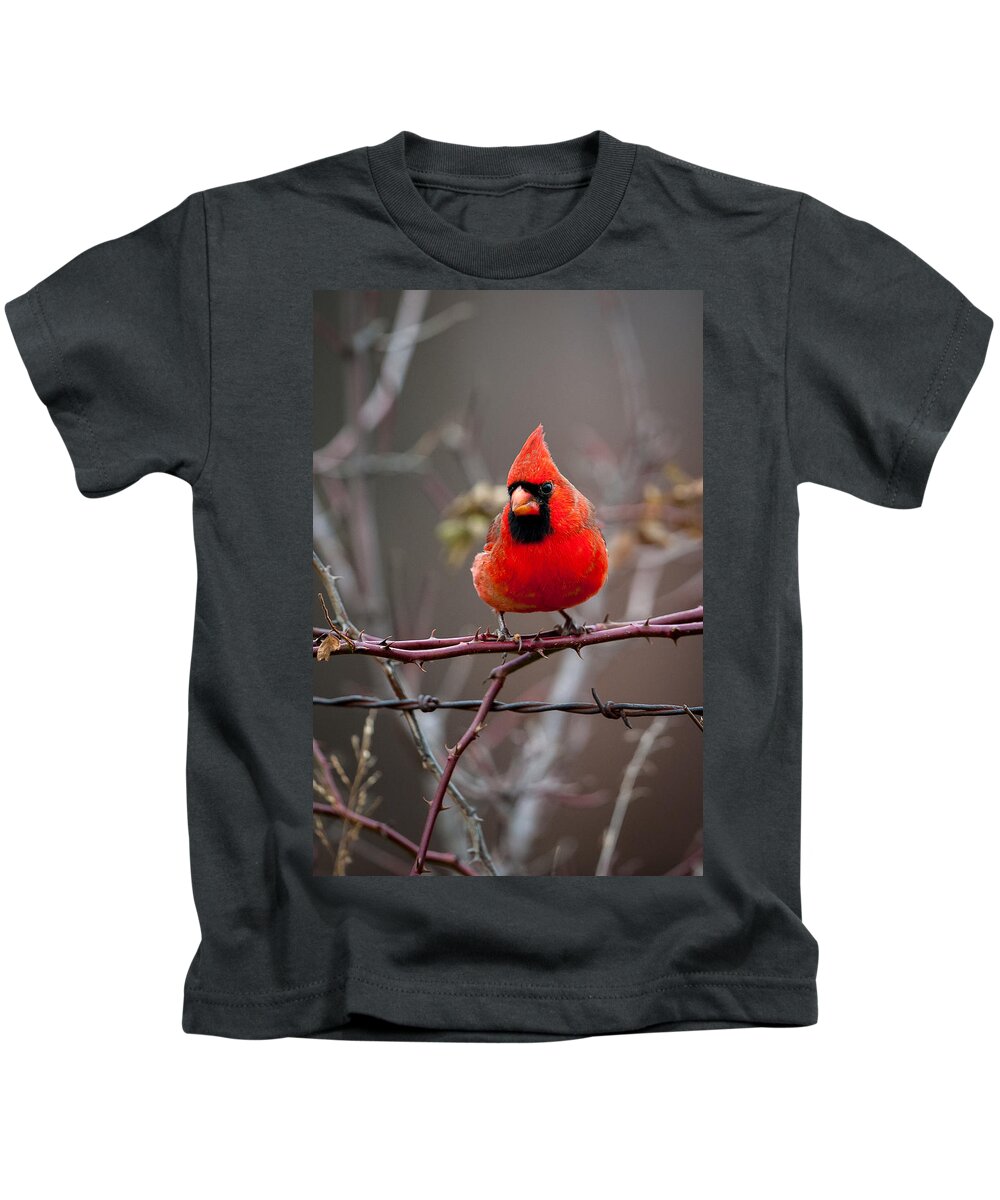 Bird Kids T-Shirt featuring the photograph Of Barbs and Thorns by Jeff Phillippi