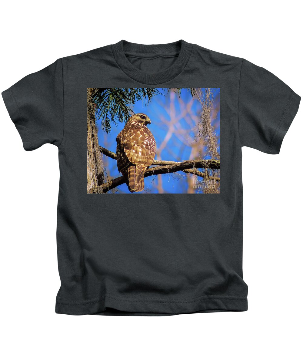 Nature Kids T-Shirt featuring the photograph Okefenokee Swamp Red-Tailed Hawk - Buteo Jamaicensis by DB Hayes