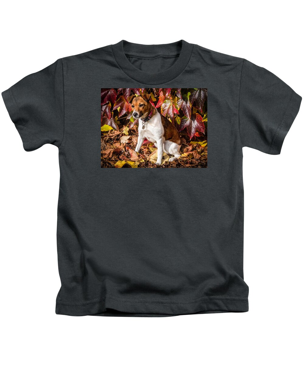 Dog Kids T-Shirt featuring the photograph On the Leaves by Nick Bywater