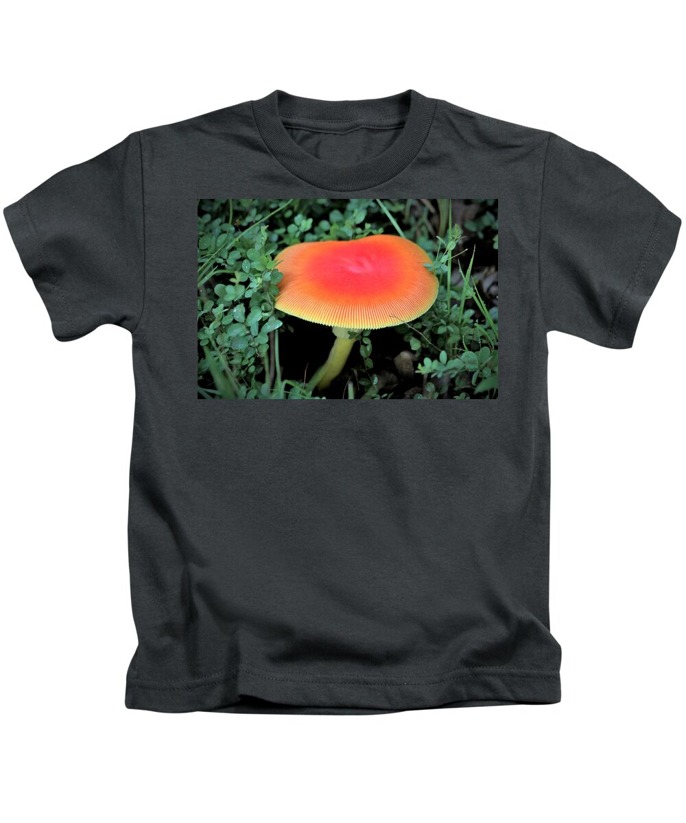 Nature Kids T-Shirt featuring the photograph Orange Glow by Sheila Brown