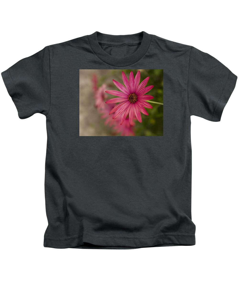 Floral Kids T-Shirt featuring the photograph Osteospermum The Cape Daisy by Shirley Mitchell