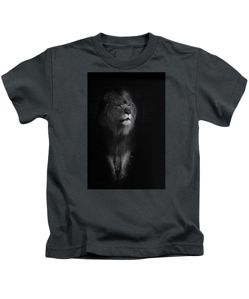 Lion Kids T-Shirt featuring the photograph Out of Darkness by Ken Barrett