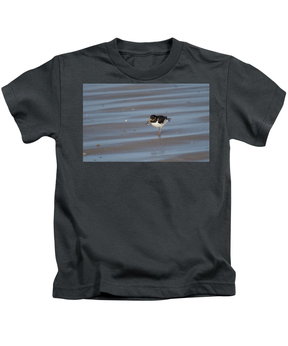 Oystercatcher Kids T-Shirt featuring the photograph Oystercatcher On Beach by Adrian Wale
