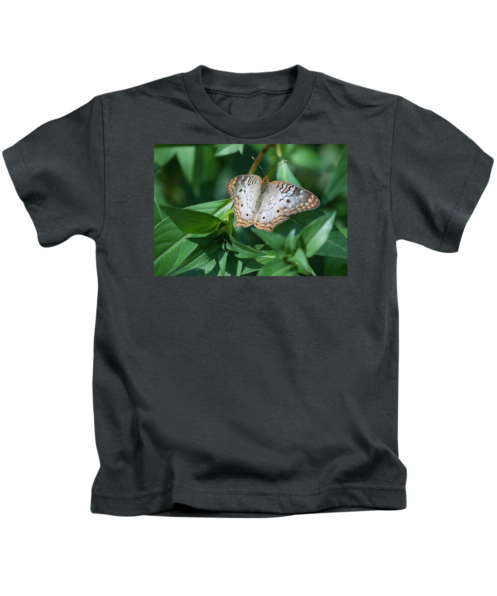 Photograph Kids T-Shirt featuring the photograph Peacock Butterfly II by Suzanne Gaff