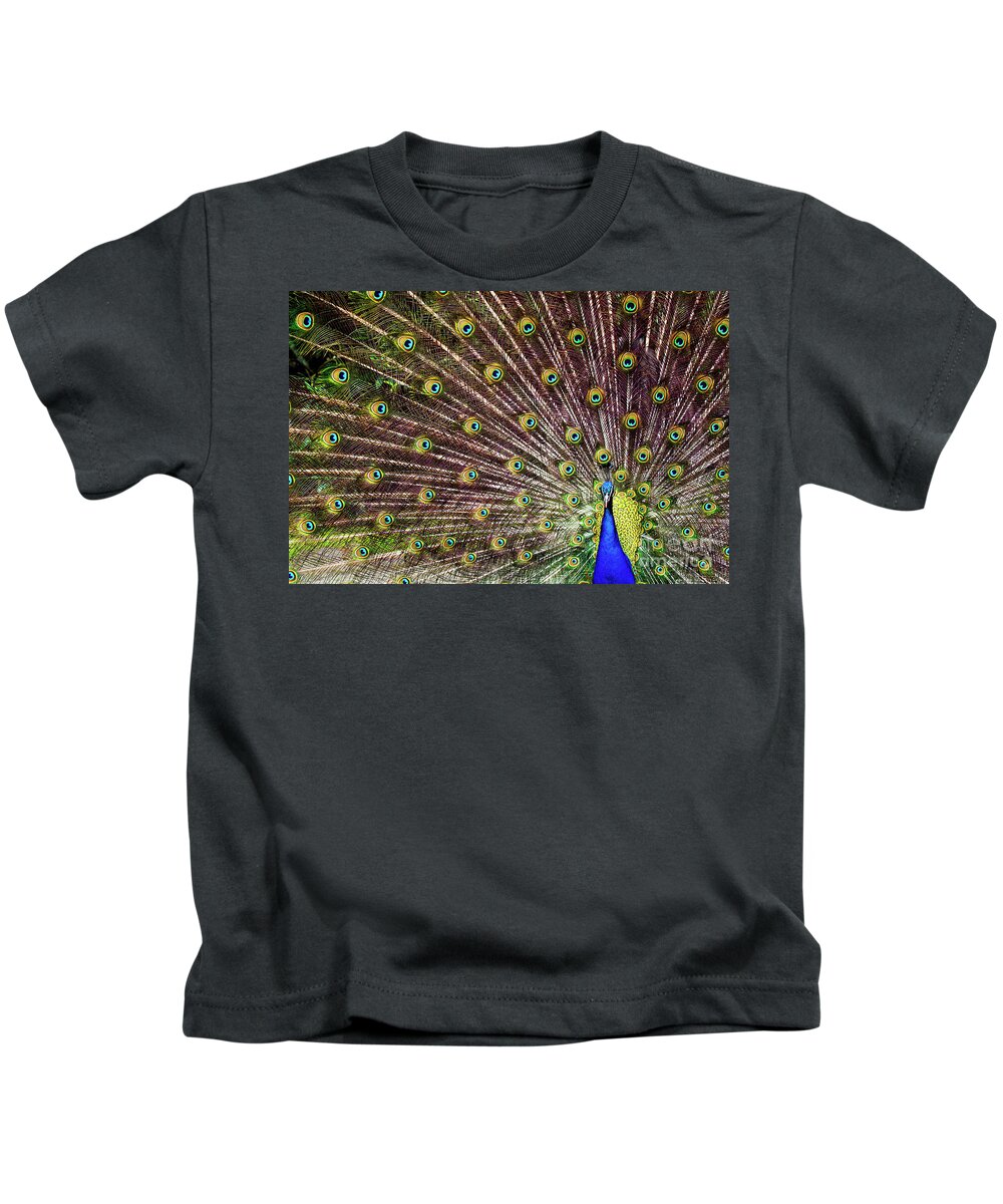 00554023 Kids T-Shirt featuring the photograph Peacock In Full Display by Marcel van Kammen