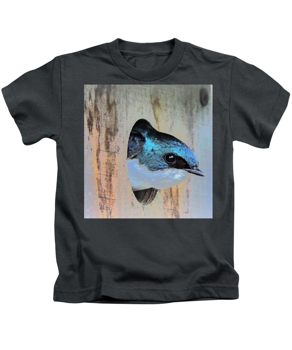 Tree Swallow Kids T-Shirt featuring the photograph Peek-A-Blue by Tami Quigley