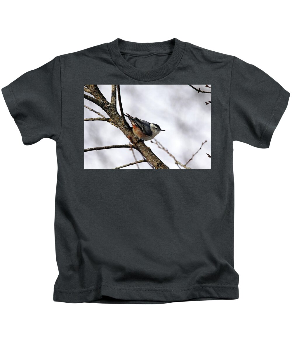 Nuthatch Kids T-Shirt featuring the photograph Perched Nuthatch by Debbie Oppermann