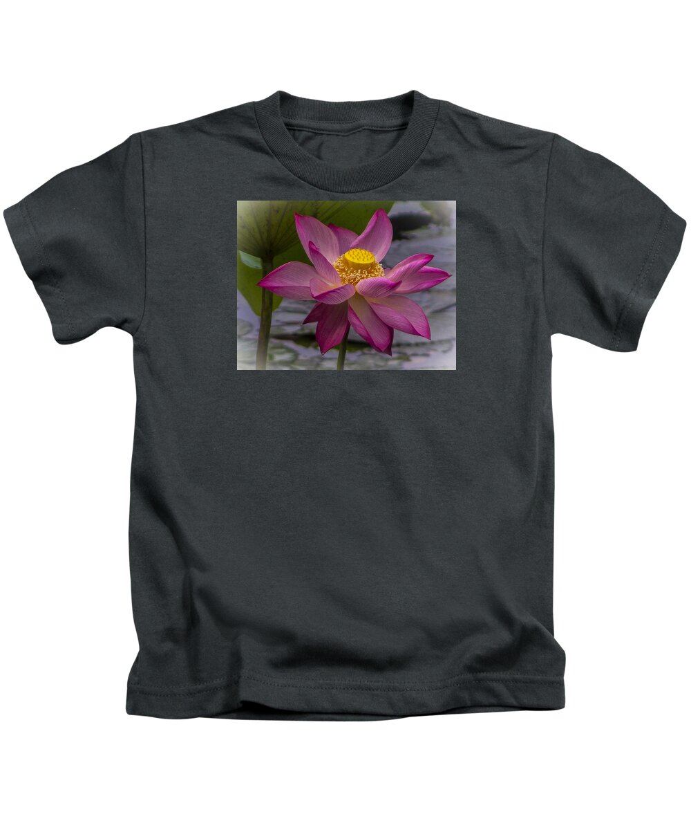 Botanical Kids T-Shirt featuring the photograph Pink Lotus in Vietnam by Venetia Featherstone-Witty