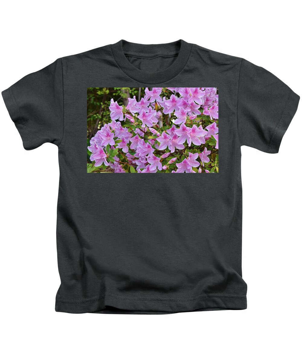 Linda Brody Kids T-Shirt featuring the photograph Pink Rhododendron 1 by Linda Brody