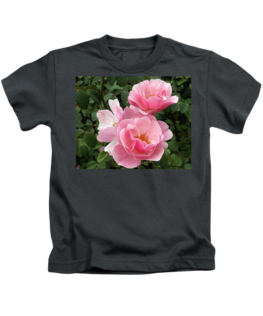 Pink Roses Kids T-Shirt featuring the photograph Pink Roses 2 by Amy Fose