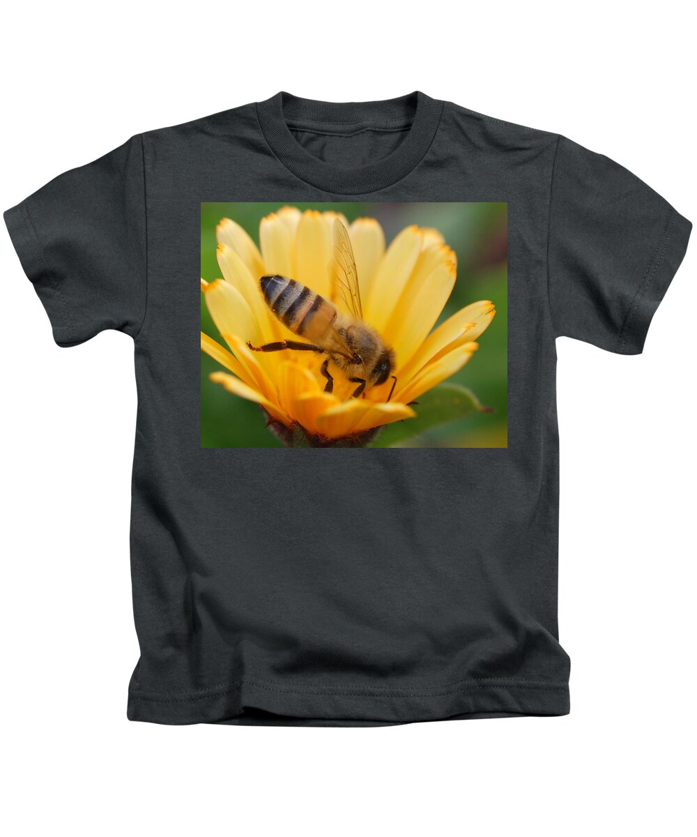 Bee Kids T-Shirt featuring the photograph Pollination 2 by Amy Fose