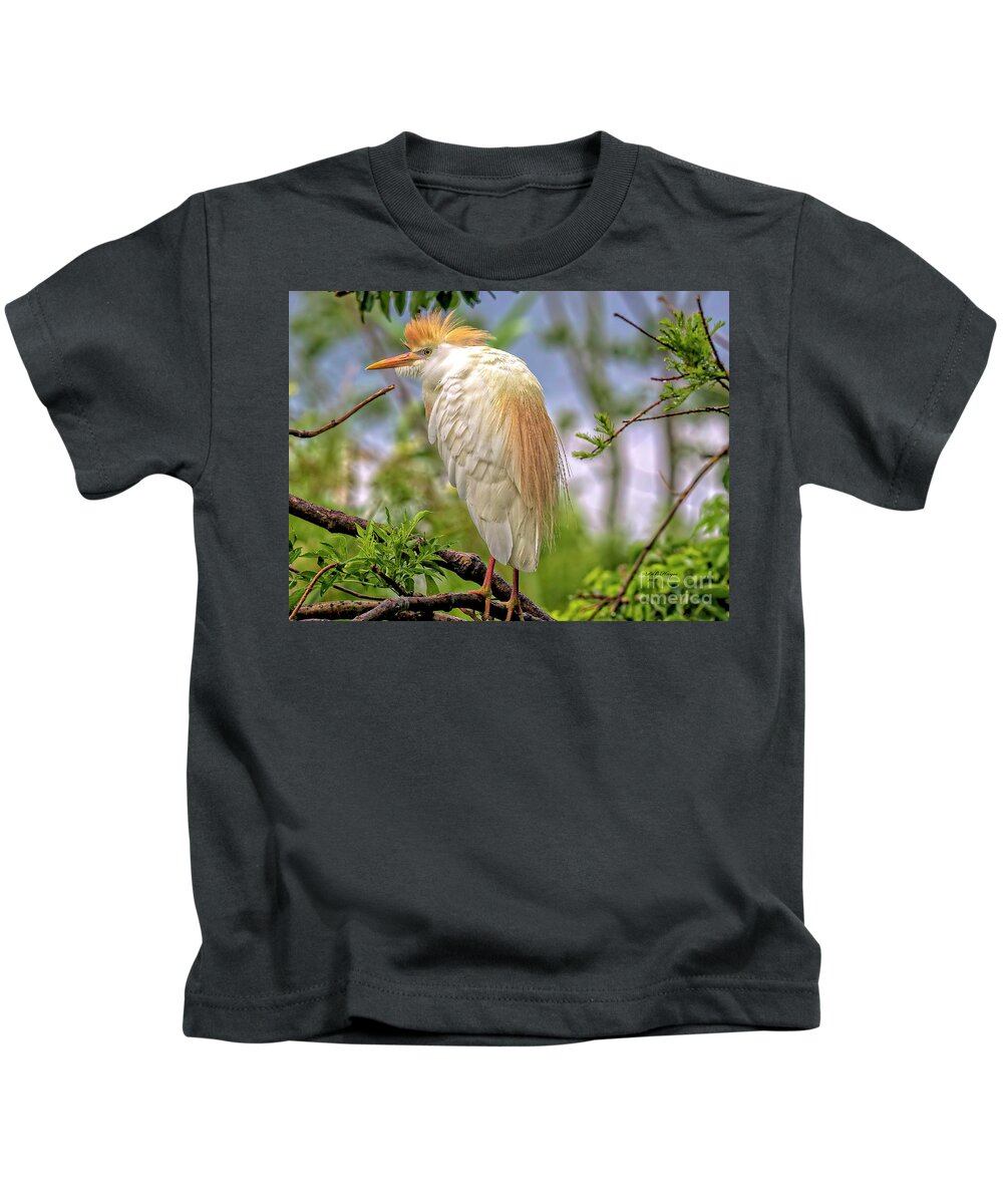 Egrets Kids T-Shirt featuring the photograph Portrait of a Cattle Egret by DB Hayes