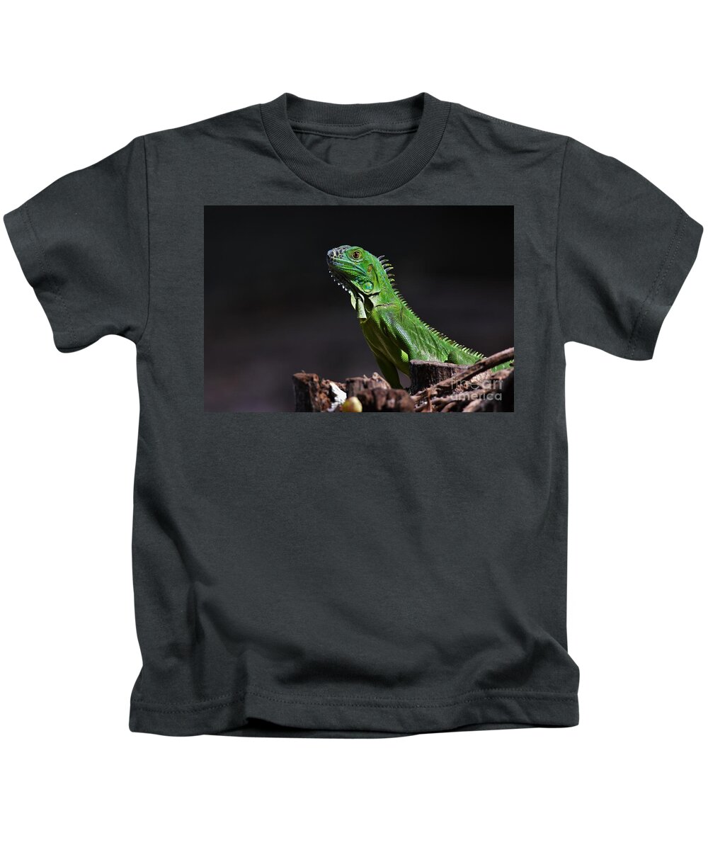Iguana Kids T-Shirt featuring the photograph Posing Iguana by Julie Adair