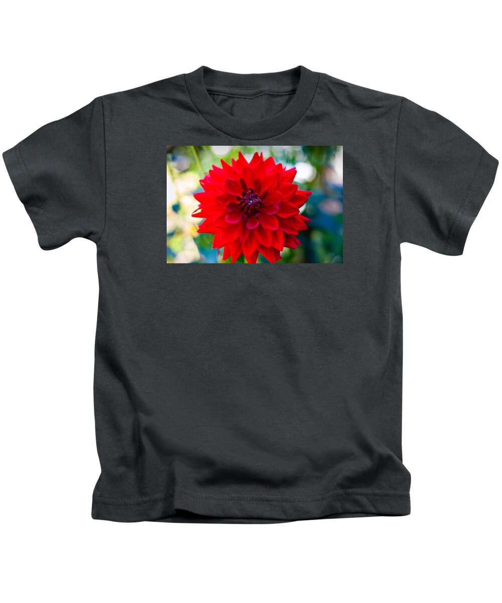 Bellingham Kids T-Shirt featuring the photograph Power by Judy Wright Lott