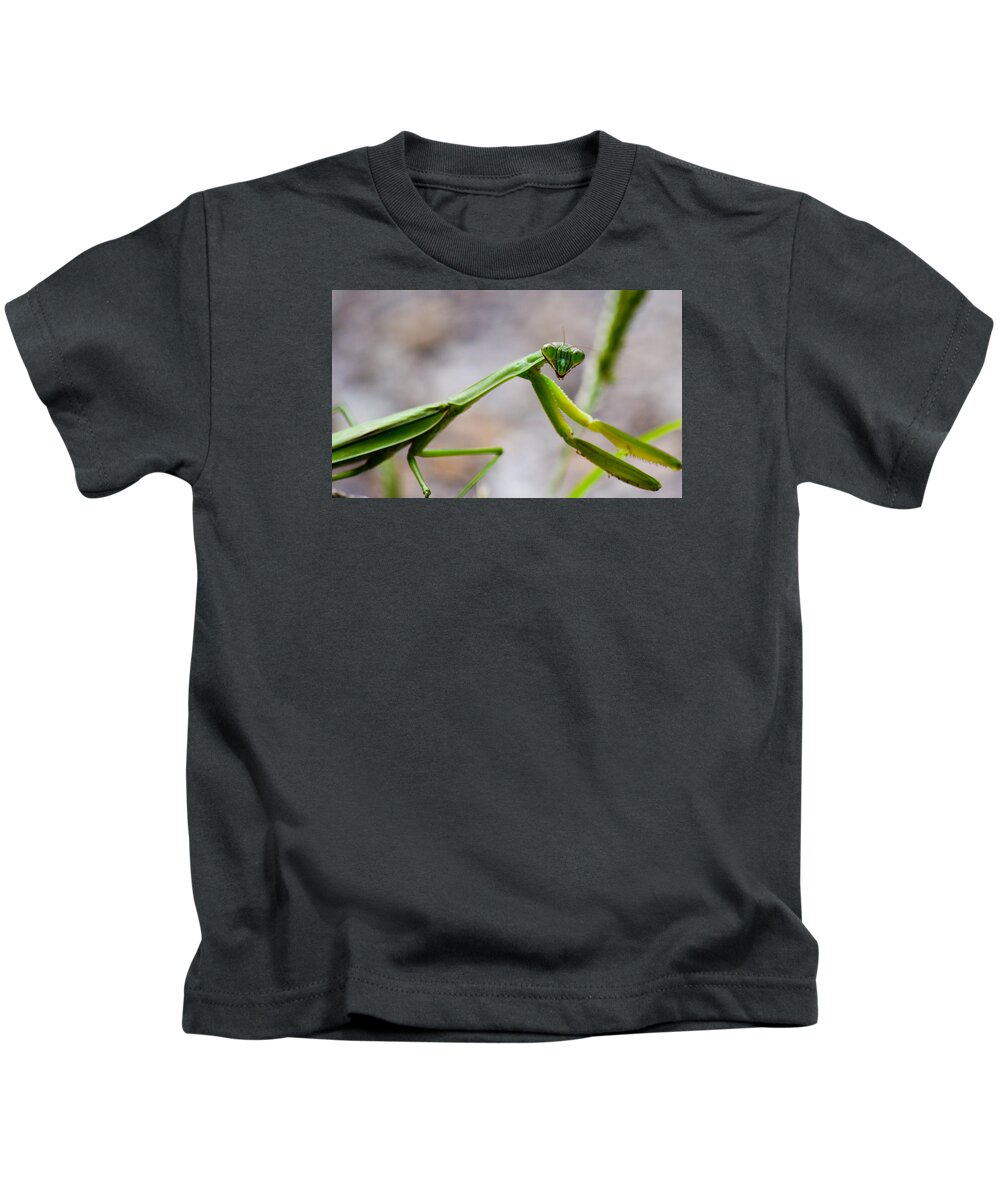 Praying Kids T-Shirt featuring the photograph Praying Mantis Looking by Jonny D