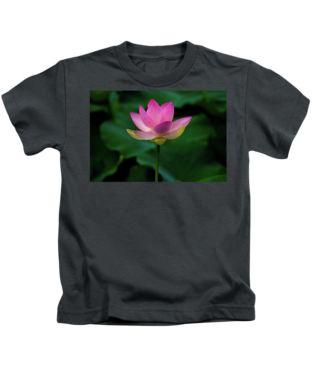 Bloom Kids T-Shirt featuring the photograph Profile of a Lotus Lily by Dennis Dame