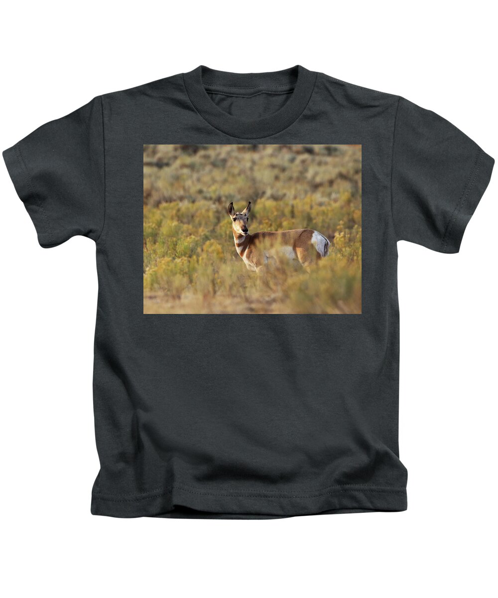 Pronghorn Antelope Kids T-Shirt featuring the photograph Pronghorn Doe by Jean Clark