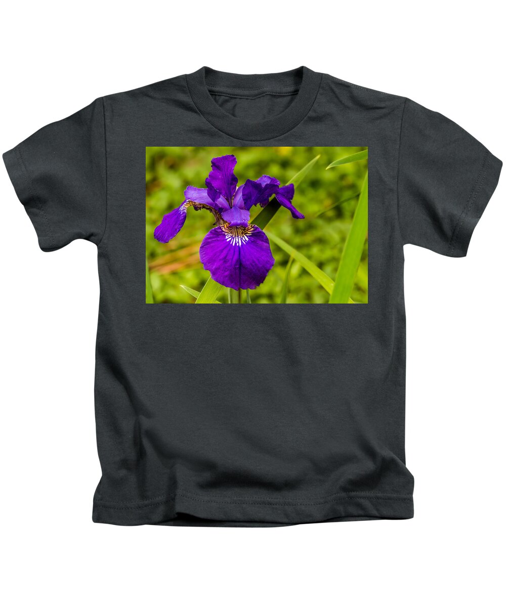 Purple Kids T-Shirt featuring the photograph Purple Beauty by Ed Clark