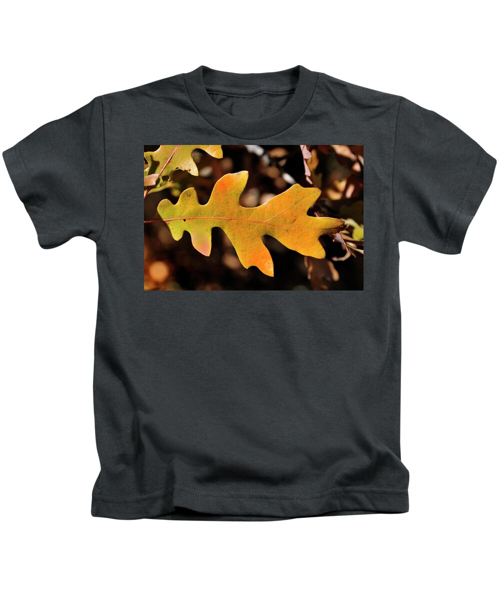 Nature Kids T-Shirt featuring the photograph Pygmy Oak I by Ron Cline