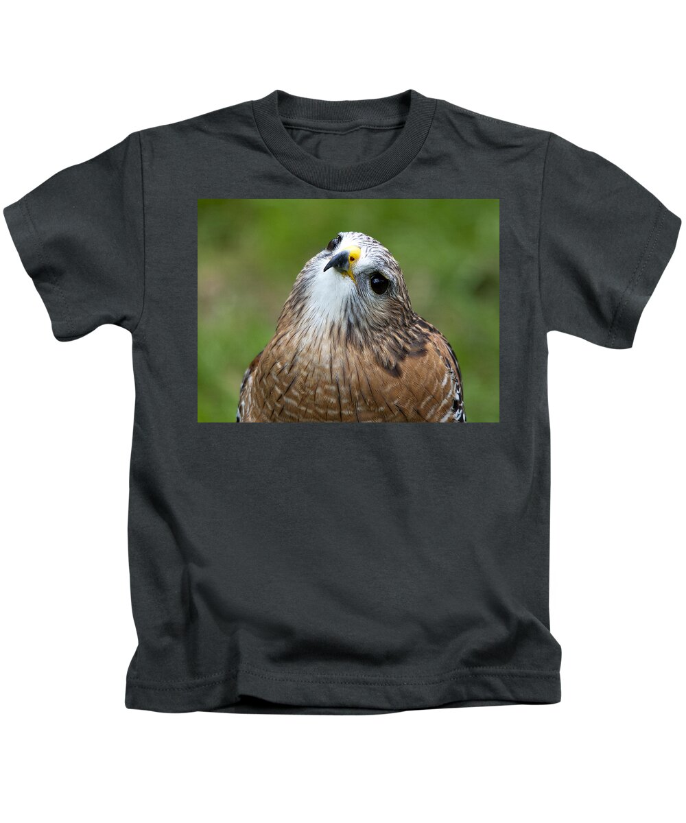 Wildlife Kids T-Shirt featuring the photograph Quizzical by Kenneth Albin